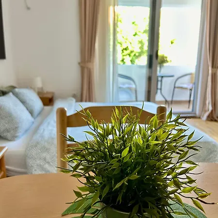 Apartments Mitende 布德瓦 外观 照片